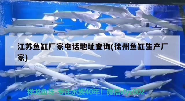 龍魚魚缸廠家電話地址查詢：如何找到一家合適的龍魚魚缸廠家