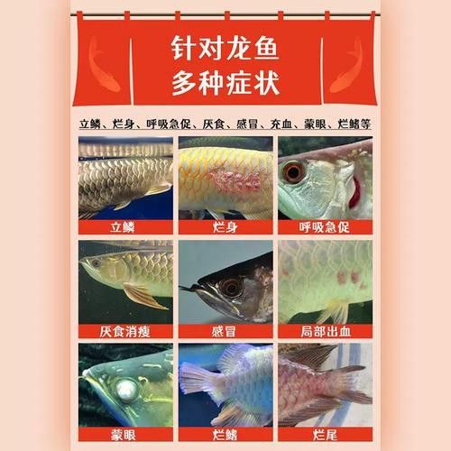 推薦一些治療龍魚爛鰭的藥物