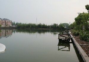龍魚休閑垂釣中心：麥積區馬跑泉金龍休閑垂釣中心
