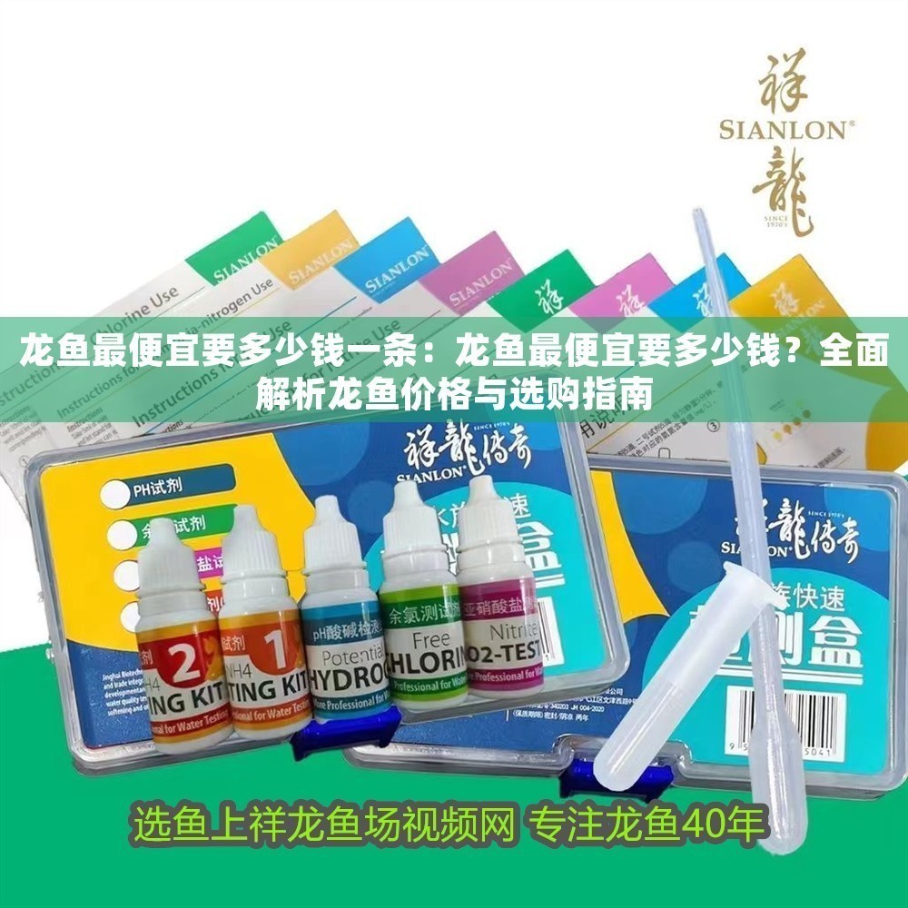龍魚最便宜要多少錢一條：龍魚最便宜要多少錢？全面解析龍魚價格與選購指南