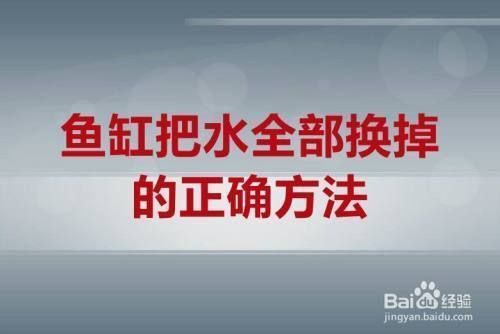 魚缸需要全部換水嗎視頻，如何預(yù)防魚缸水質(zhì)污染魚缸換水后注意事項