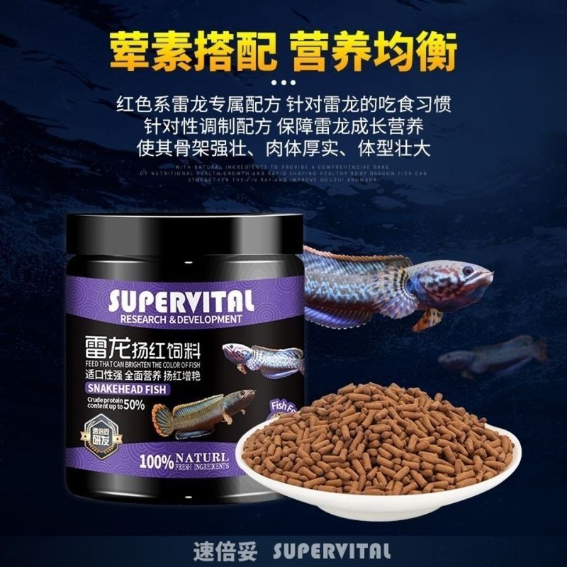 雷龍魚增藍飼料配方
