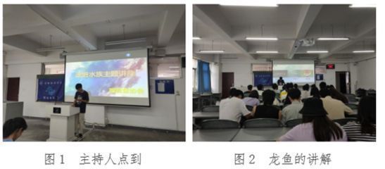 龍魚的喂養方法：龍魚的飼養方法 龍魚的喂養方法：龍魚的飼養方法 龍魚百科 第5張