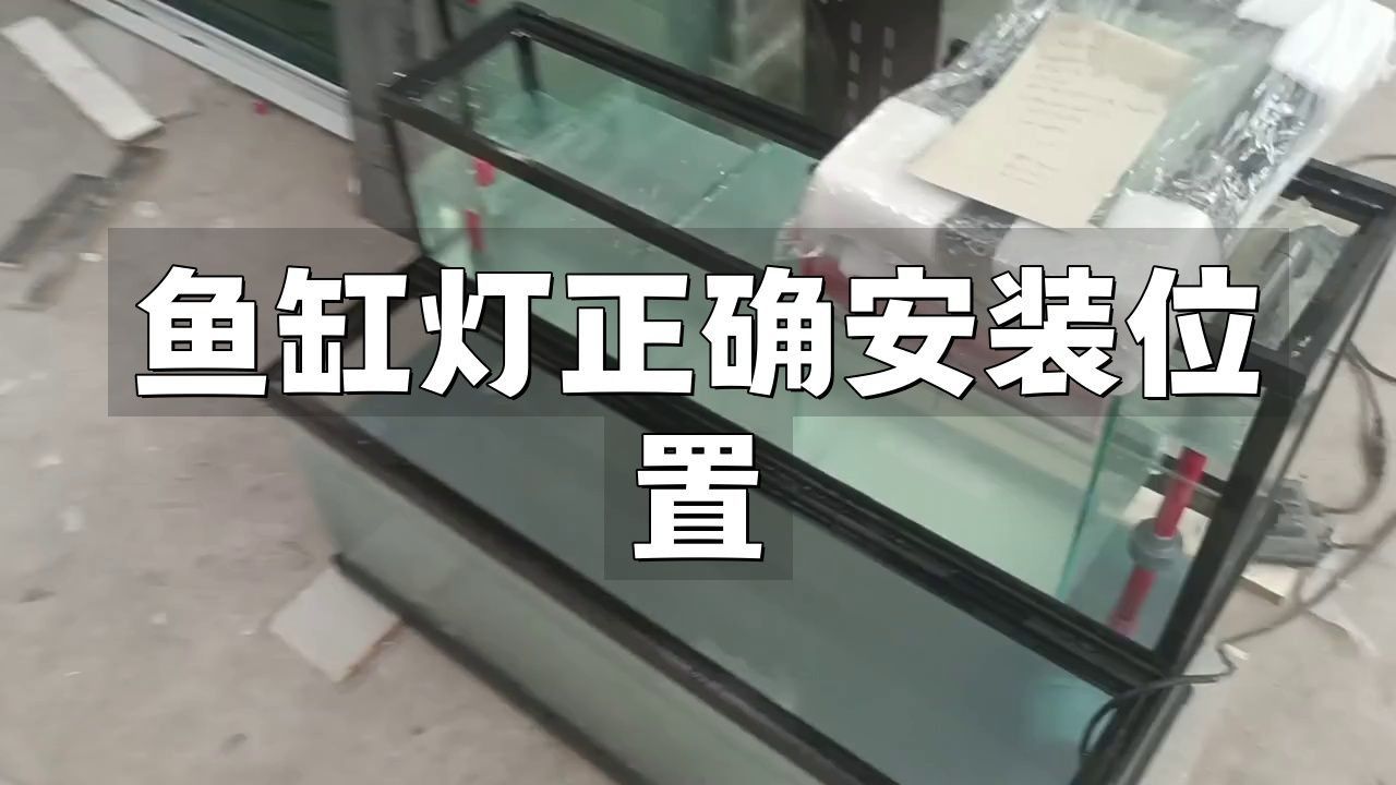 馬印魚缸照明燈安裝步驟與注意事項