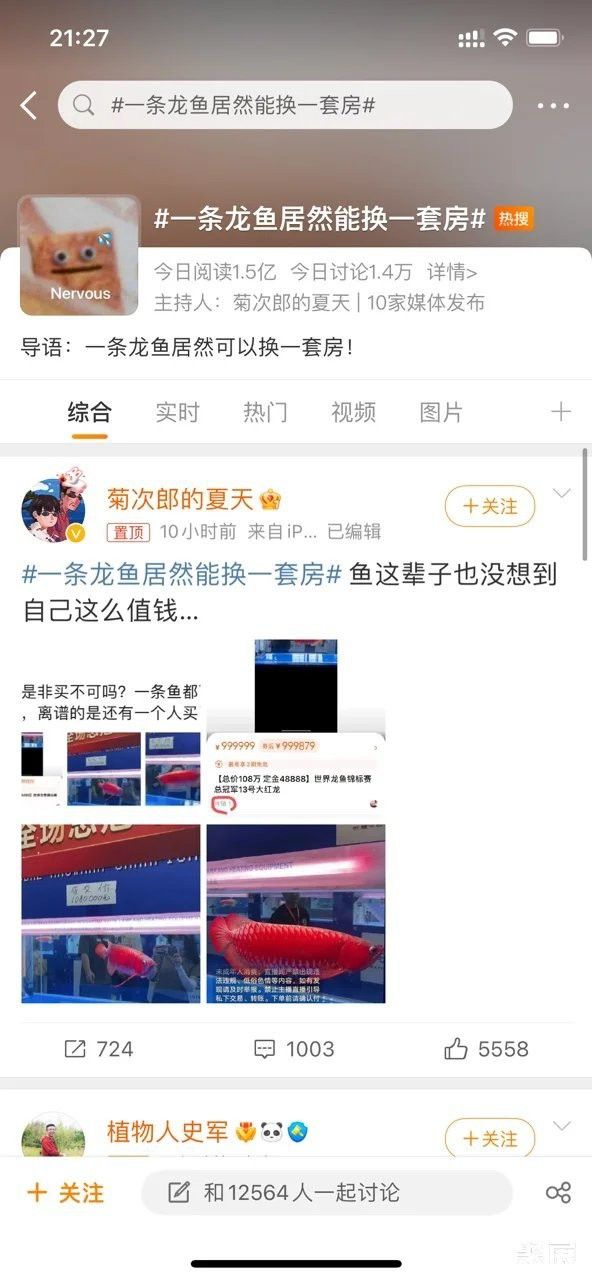 2023廣州龍魚比賽冠軍有誰 2023廣州龍魚比賽冠軍有誰 龍魚百科 第5張