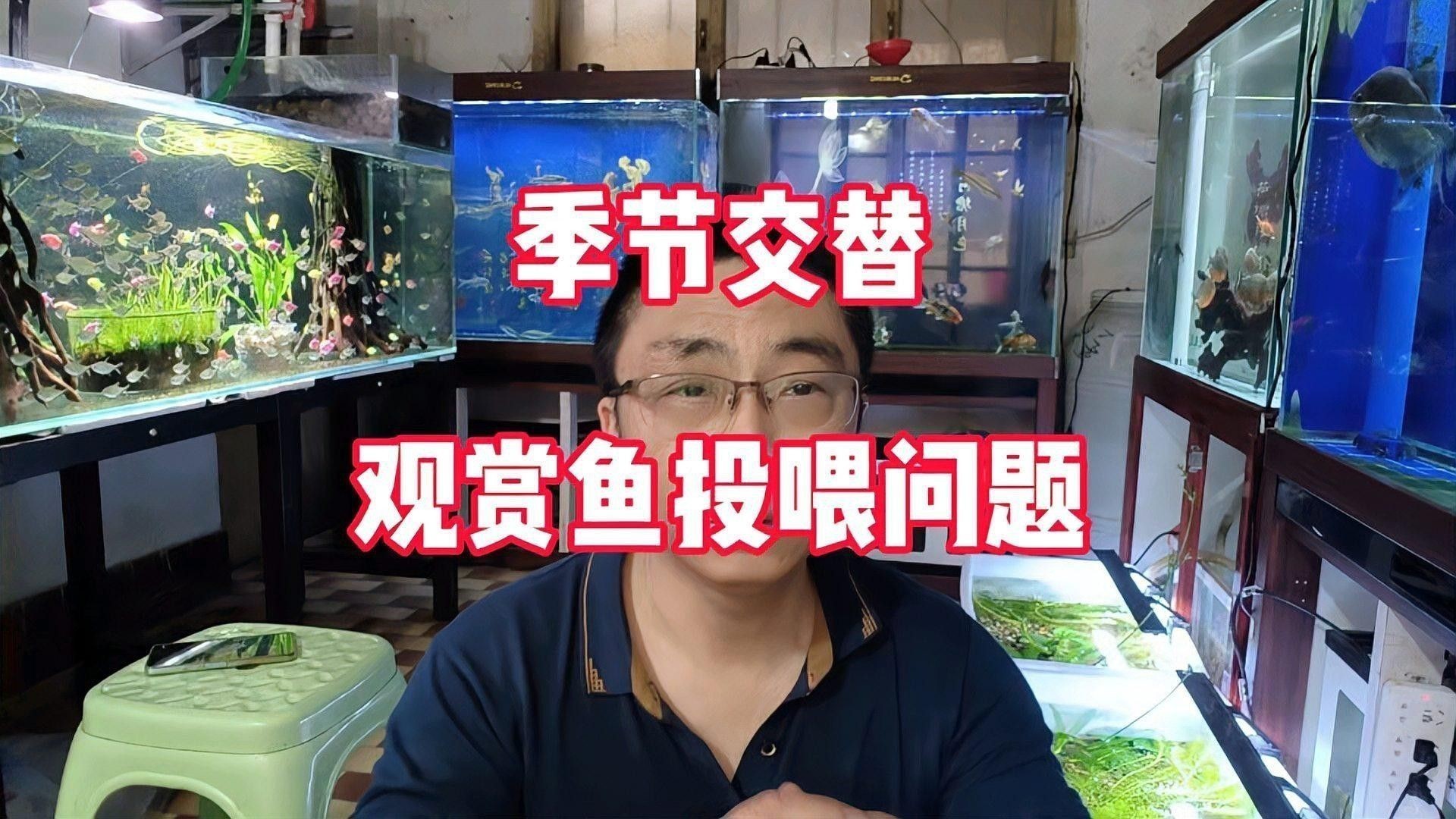哪些水果不適合過背金龍食用？ 哪些水果不適合過背金龍食用？ 龍魚百科 第1張