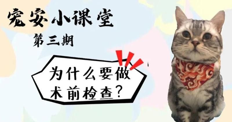 銀龍魚翻鰓癥手術治療風險大嗎？
