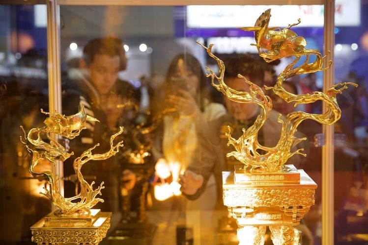 龍魚神獸：龍魚神獸與龍魚混養(yǎng)的四種觀賞魚類，泰國虎飼養(yǎng)技巧