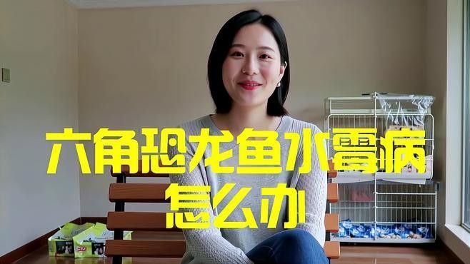 龍魚水霉病最佳治療方法