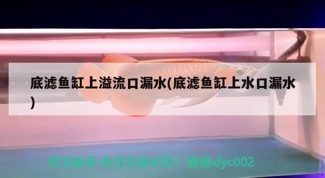 底濾魚缸上溢流口漏水(底濾魚缸上水口漏水)