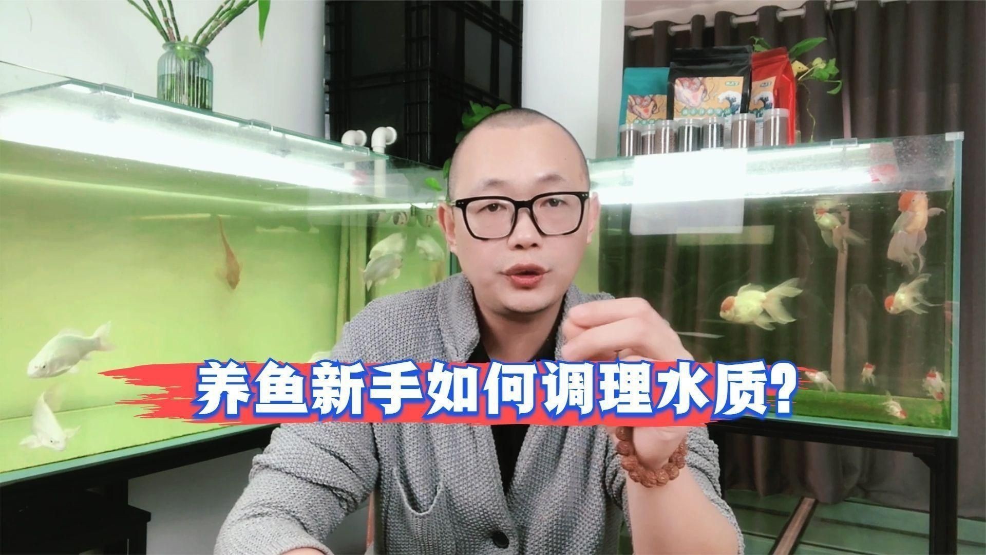 如何科學管理魚缸水質？ 如何科學管理魚缸水質？ 龍魚百科 第4張