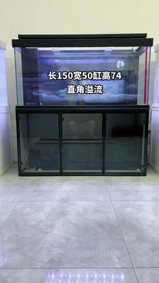 鑫海龍魚缸怎么樣 鑫海龍魚缸怎么樣 龍魚百科 第1張