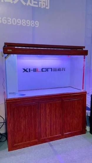 鑫海龍魚缸怎么樣 鑫海龍魚缸怎么樣 龍魚百科 第4張