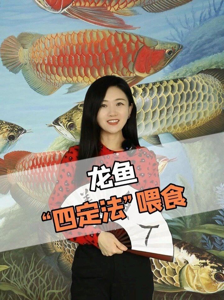 如何用手喂食龍魚？