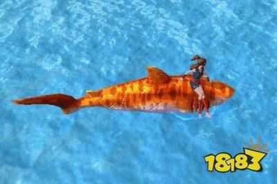 創造與魔法金龍魚可以做什么飼料（《創造與魔法》金龍魚在哪釣金龍魚位置分布一覽）