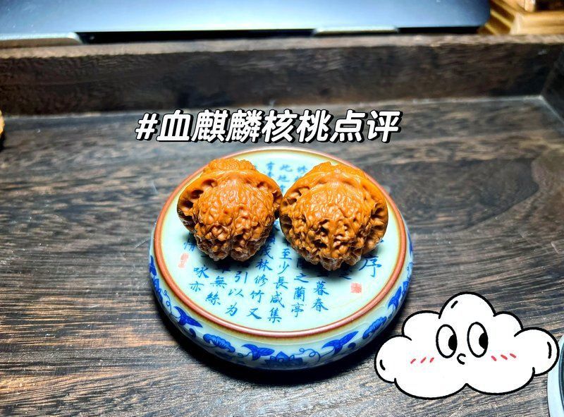 血麒麟走色發醬是正規品牌嗎