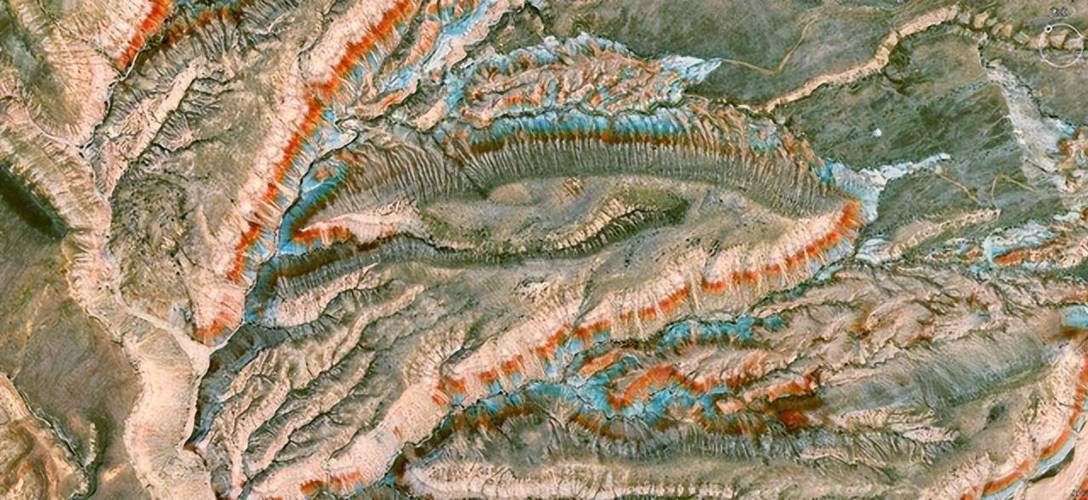 給我一些高清的真龍大地圖片 給我一些高清的真龍大地圖片 龍魚(yú)百科 第3張