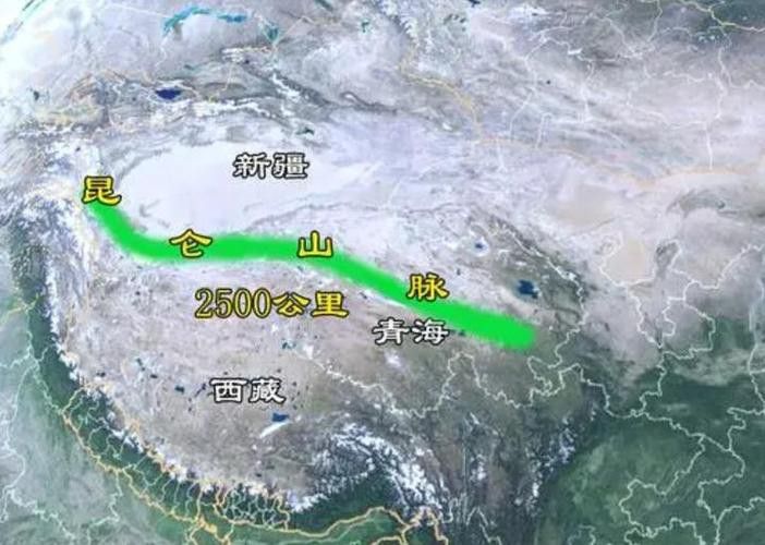 給我一些高清的真龍大地圖片 給我一些高清的真龍大地圖片 龍魚(yú)百科 第16張