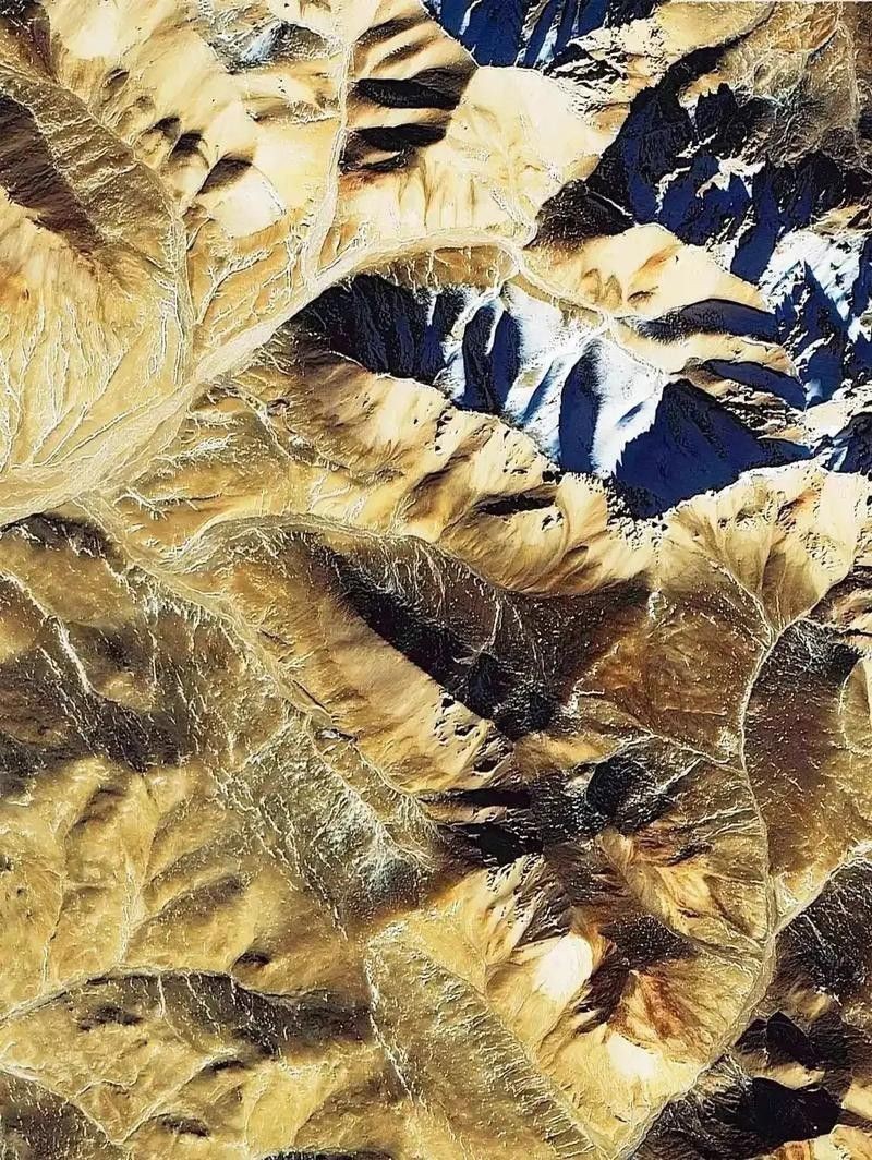 給我一些高清的真龍大地圖片 給我一些高清的真龍大地圖片 龍魚(yú)百科 第15張