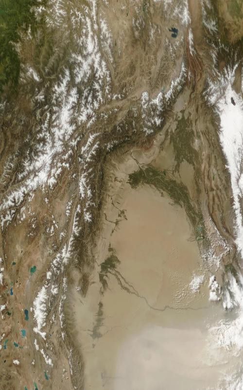 給我一些高清的真龍大地圖片 給我一些高清的真龍大地圖片 龍魚(yú)百科 第19張