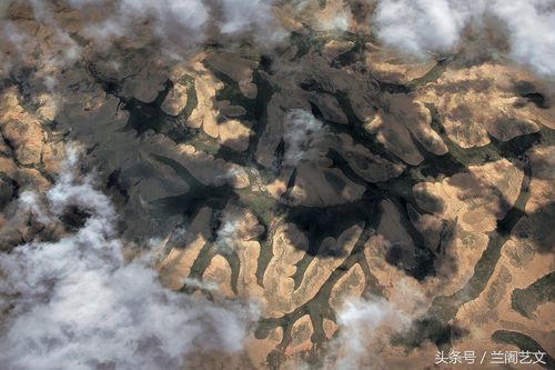 給我一些高清的真龍大地圖片 給我一些高清的真龍大地圖片 龍魚(yú)百科 第17張
