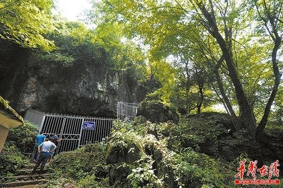 給我一些高清的真龍大地圖片 給我一些高清的真龍大地圖片 龍魚(yú)百科 第27張