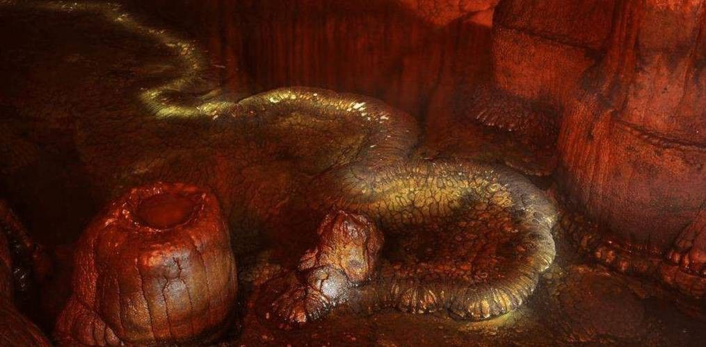 給我一些高清的真龍大地圖片 給我一些高清的真龍大地圖片 龍魚(yú)百科 第28張