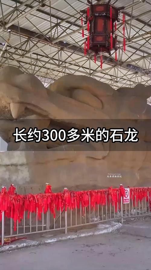 給我一些高清的真龍大地圖片 給我一些高清的真龍大地圖片 龍魚(yú)百科 第42張