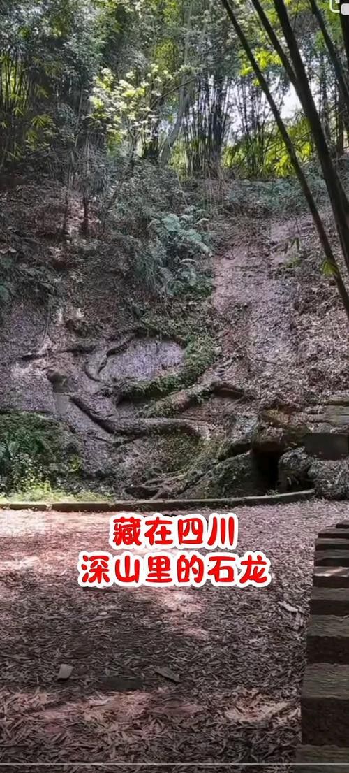 給我一些高清的真龍大地圖片 給我一些高清的真龍大地圖片 龍魚(yú)百科 第41張