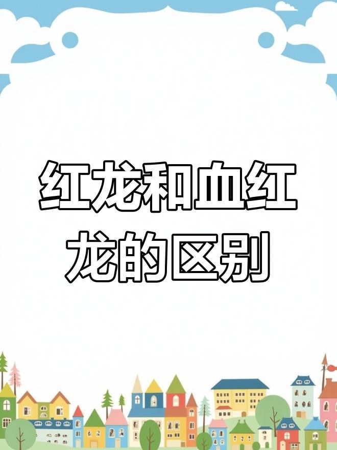 如何區分血紅龍的不同品種？ 如何區分血紅龍的不同品種？ 龍魚百科 第4張
