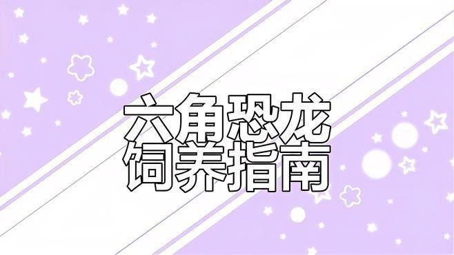 六角恐龍魚飼養注意事項和禁忌