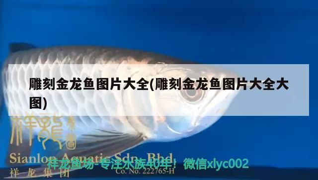 雕刻金龍魚圖片大全(雕刻金龍魚圖片大全大圖)
