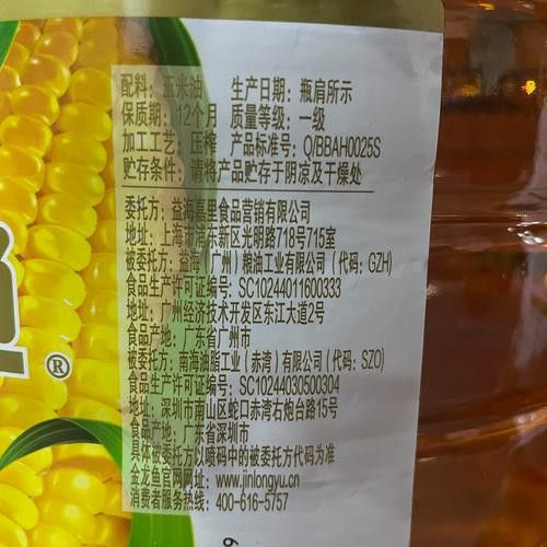 金龍魚如何辨別真假圖片