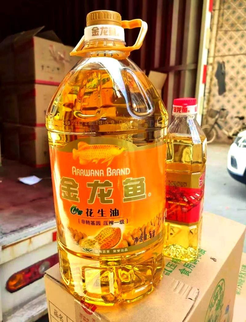 金龍魚如何辨別真假圖片