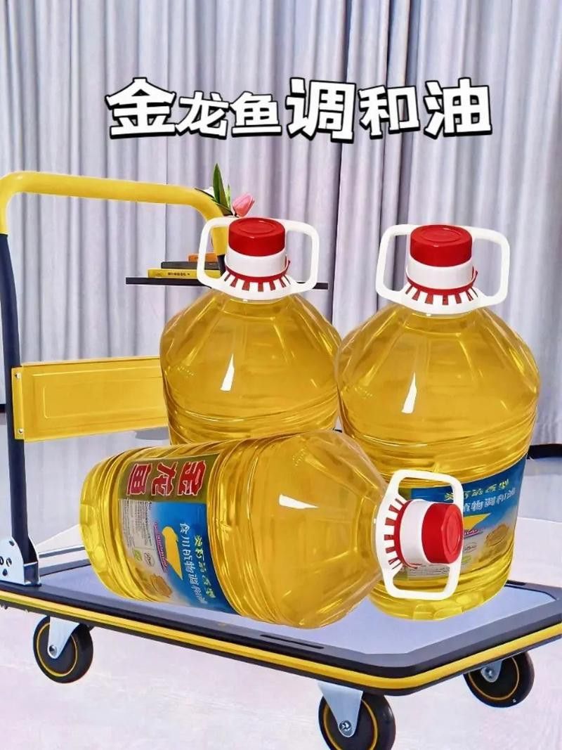 金龍魚如何辨別真假圖片