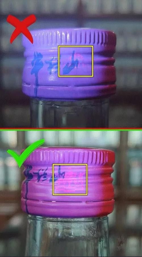 金龍魚如何辨別真假圖片