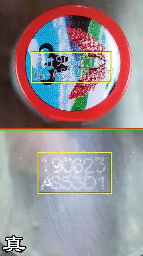 金龍魚如何辨別真假圖片