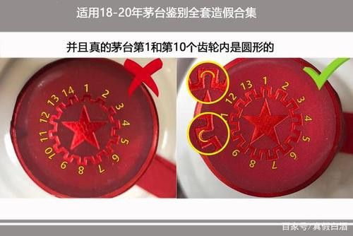 金龍魚如何辨別真假圖片