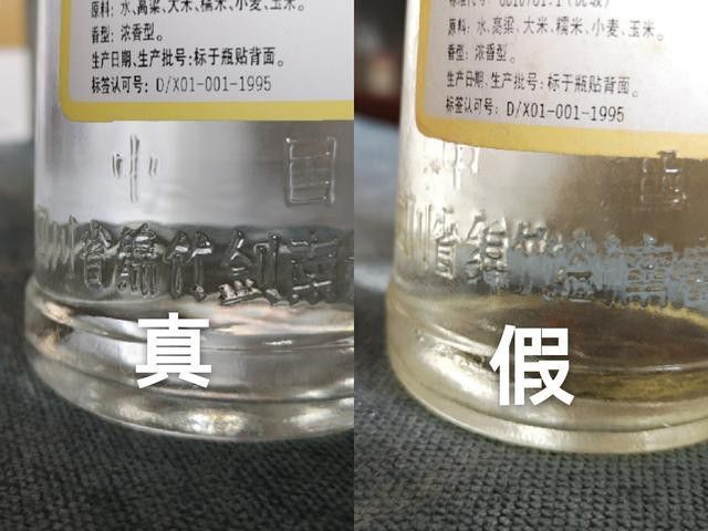 金龍魚如何辨別真假圖片