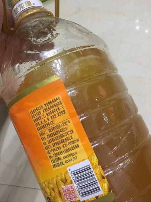 金龍魚如何辨別真假圖片