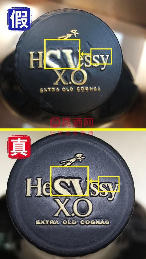 金龍魚如何辨別真假圖片