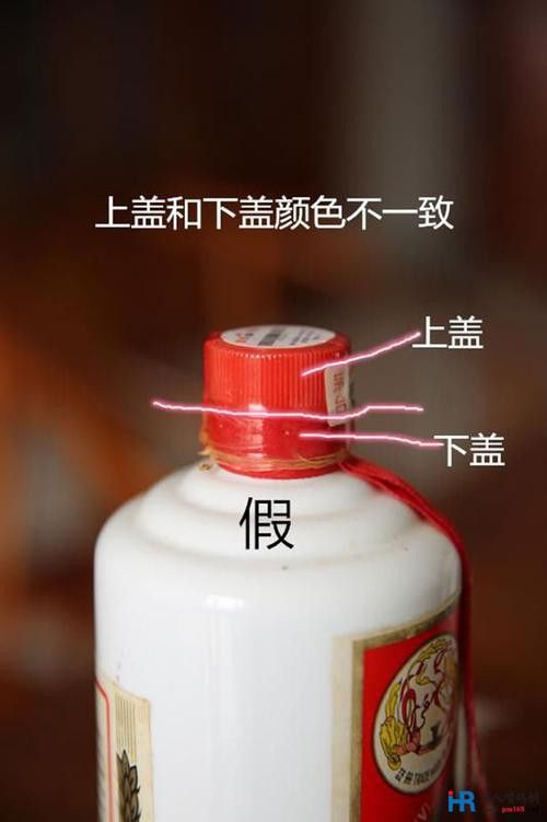 金龍魚如何辨別真假圖片