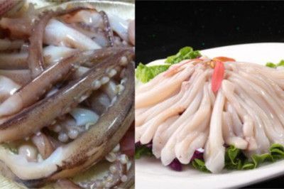 新鮮龍魚須怎么清洗干凈：如何挑選新鮮龍魚，龍魚須的保存方法 新鮮龍魚須怎么清洗干凈：如何挑選新鮮龍魚，龍魚須的保存方法 龍魚百科 第5張