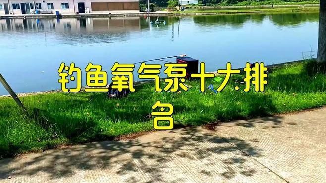 老漁匠氧氣泵是雜牌還是名牌