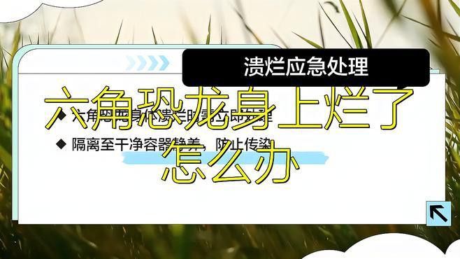 六角恐龍魚身體腐爛如何預防？