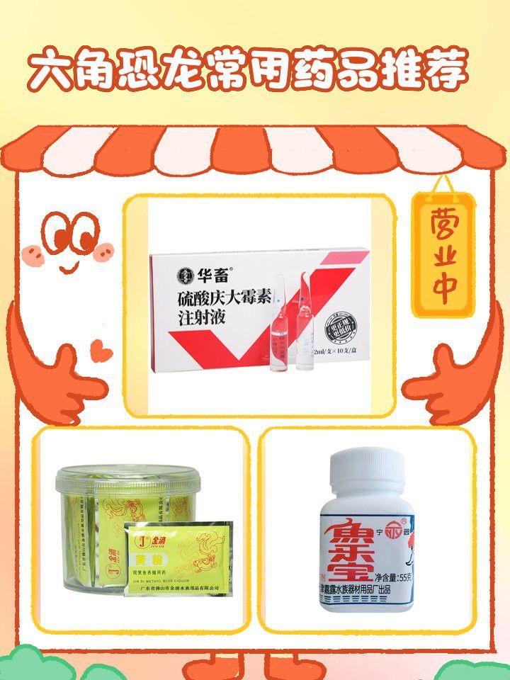 六角恐龍魚身體腐爛如何預防？