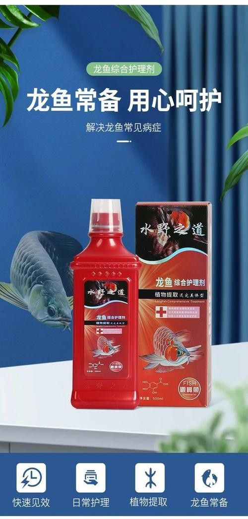 銀龍魚身上爛了怎么辦圖片大全 銀龍魚身上爛了怎么辦圖片大全 龍魚百科 第17張