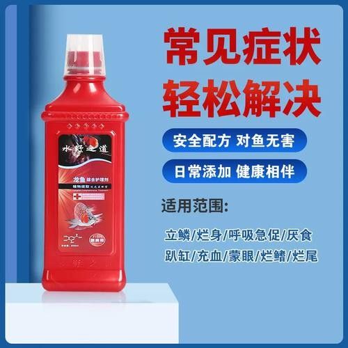 銀龍魚身上爛了怎么辦圖片大全 銀龍魚身上爛了怎么辦圖片大全 龍魚百科 第16張
