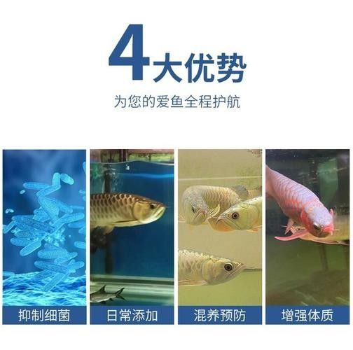 銀龍魚身上爛了怎么辦圖片大全 銀龍魚身上爛了怎么辦圖片大全 龍魚百科 第15張