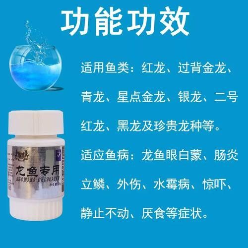 銀龍魚身上爛了怎么辦圖片大全 銀龍魚身上爛了怎么辦圖片大全 龍魚百科 第18張